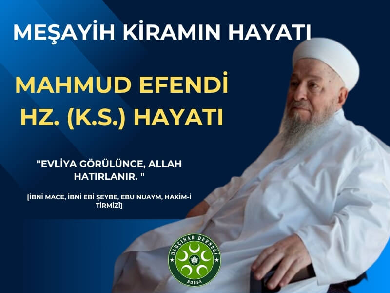 Mahmud Efendi Hazretleri Hayatı